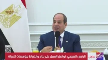 ملامح المرحلة القادمة.. توجيهات جديدة من السيسي بشأن بناء مؤسسات الدولة 1